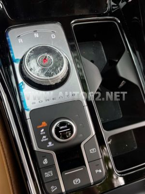 Xe Kia Sorento Signature 2.2 AT AWD 2024