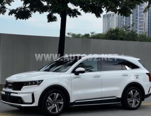 Xe Kia Sorento Signature 2.2 AT AWD 2024