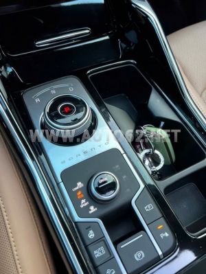 Xe Kia Sorento Signature 2.2 AT AWD 2024