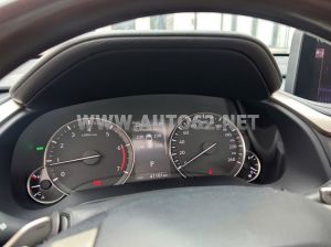 Xe Lexus RX 300 2021