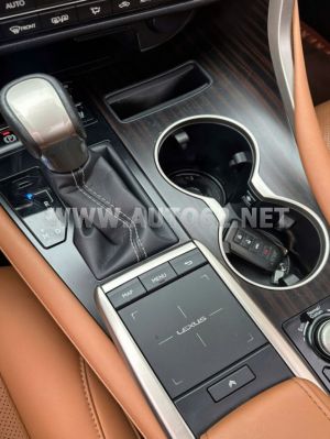 Xe Lexus RX 300 2021