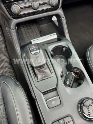 Xe Ford Everest Platinum 2.0L 4x4 AT 2024