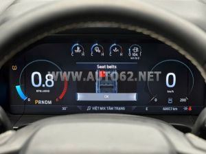 Xe Ford Everest Platinum 2.0L 4x4 AT 2024