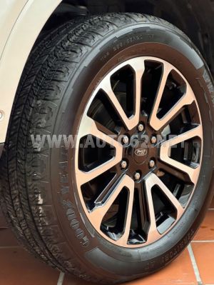 Xe Ford Everest Platinum 2.0L 4x4 AT 2024
