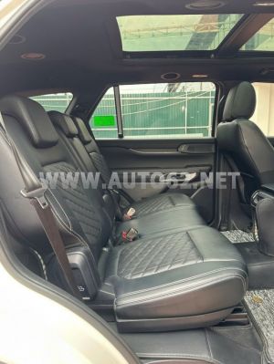 Xe Ford Everest Platinum 2.0L 4x4 AT 2024