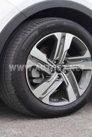 Xe Kia Sorento Signature 2.5 AT AWD 2024
