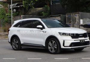 Xe Kia Sorento Signature 2.5 AT AWD 2024