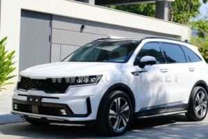 Xe Kia Sorento Signature 2.2 AT AWD 2024